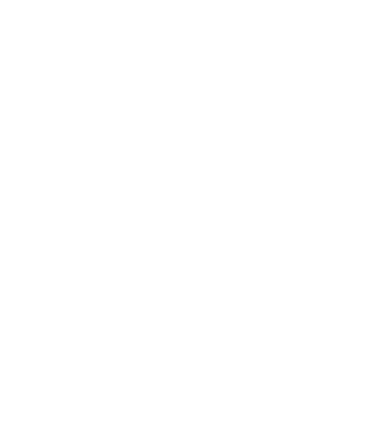 Divina Sorte